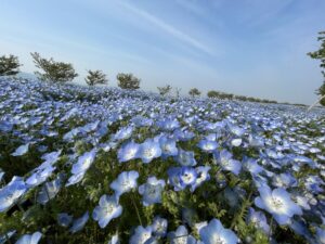 保護者様アンケートをご紹介します☀️