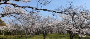 2019 伊川谷北から関西学院大学 合格！関関同立に強い塾・藤井セミナー伊川谷駅ビル
