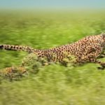 関関同立に偏差値30からでも受かる塾、藤井セミナー伊川谷駅ビルの塾