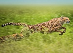 関関同立に偏差値30からでも受かる塾、藤井セミナー伊川谷駅ビルの塾