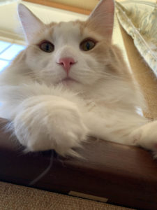 藤井セミナー 伊川谷駅ビル　入塾受付中（大学受験）今だけオンラインです