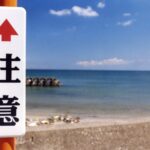 まだ間に合う!高2の夏期講習!(英語長文・高校2年生)