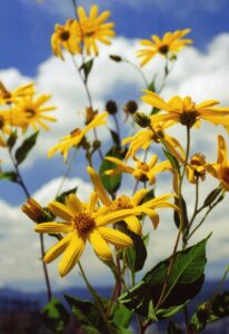 「学園都市駅」から考える「高校生の塾選び」