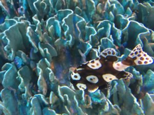 【崖っぷちの】受験生が≪代打逆転サヨナラ満塁優勝決定本塁打≫級の合格をする方法