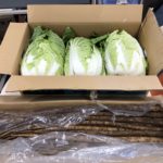 北の大地から野菜が送られてきました