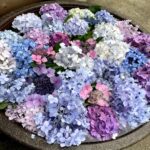 梅雨の始まり☂️夏への仕込み☀️