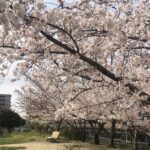 春期講習案内 2022