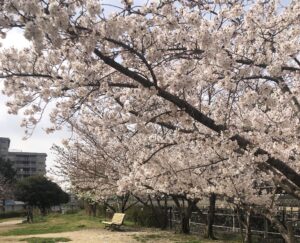 春期講習案内 2022