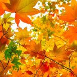 高校2年生に伝えたいこと~受験生になるまでの準備が大切!~