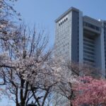 合格速報!聖徳学園高校から法政大学社会学部に現役合格!