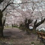 3月の入塾説明会日程が決定しました