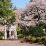 合格速報!巣鴨高校から青山学院大学、芝浦工業大学に合格!