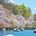 高校生・浪人生 募集中 藤井セミナー吉祥寺教室 大学受験の塾 英語力アップと早慶GMARCHに強い!