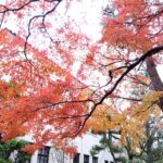 🍁秋の入塾キャンペーン実施中🍁