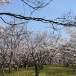 2019 須磨東から 関西学院大学 合格!関関同立に強い塾・藤井セミナー神戸三宮