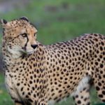 三宮の塾・関関同立に偏差値30からでも受かる塾、藤井セミナー