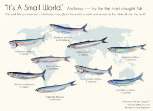 2月13日高校2年生の長文の授業後和訳：藤井セミナー三宮の塾