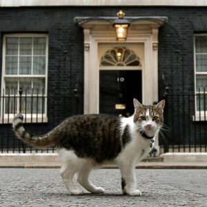 英語の実力の伸ばし方・大学受験勉強（予習は不要！）